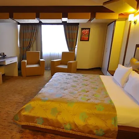 Asya Hotel 3*